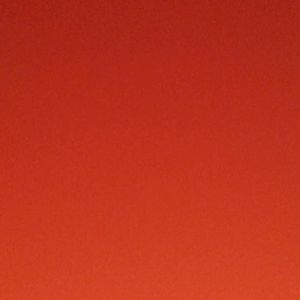 Meet your Posher, Kiara